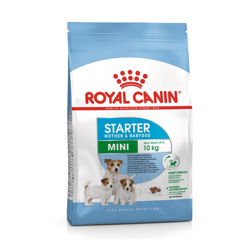Royal Canin Mini Starter Yavru Kuru Köpek Maması 3 Kg