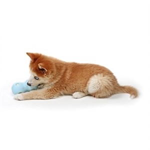 Duvo+ Water Chew Dondurulabilir Köpek Oyuncağı Pembe