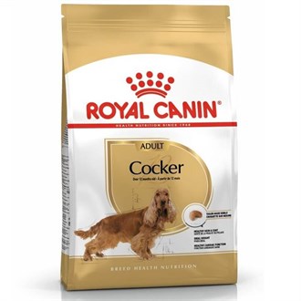 Royal Canin Cocker Spaniel 25 Köpek Maması 3 Kg